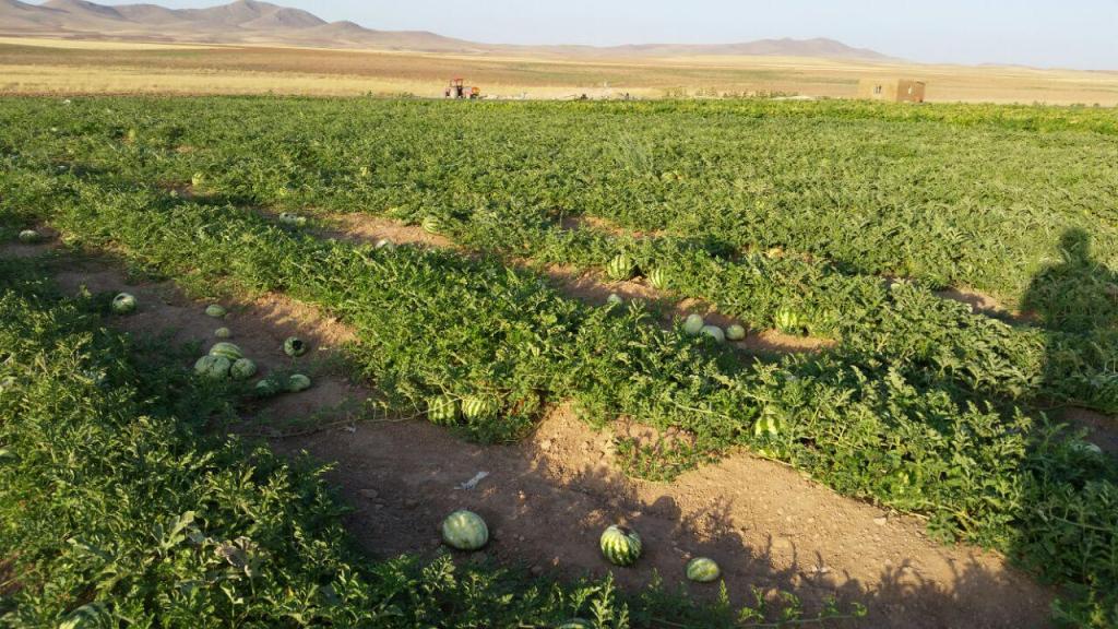 شیربرات روستایی چهار فصل با قدمتی دیرینه