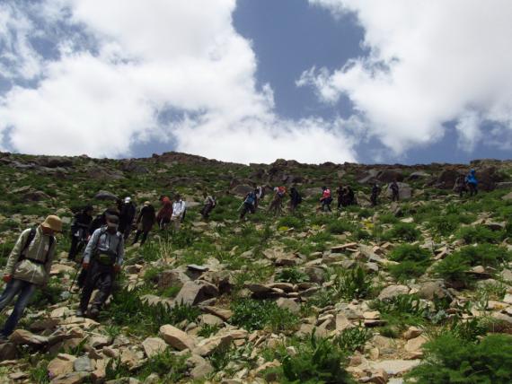 کوهپیمایی جمعی از مسئولان استان همدان به بهانه کمک به کودکان سرطانی 