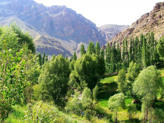 تصاویری بکر از طبیعت های شمال کشور از کوهنورد همدانی