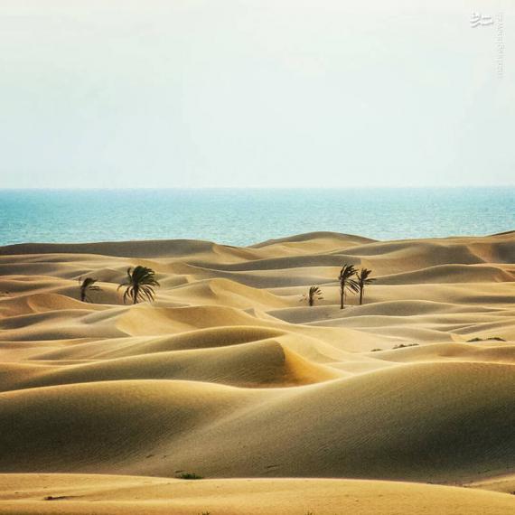 عکس/ منظره‌ای منحصربفرد در سیستان و بلوچستان