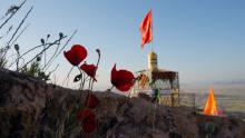 ورزشکاران همدان در شب " لیلةالرغائب "میهمان شهدا هستند
