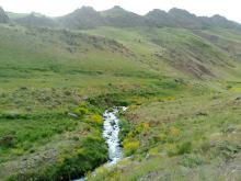 حکایت سفری رویایی/ تابستانی خنک در آلپ ایران 