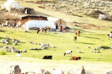 دلچسبی میدان میشان با گردشگری عشایر