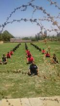 ﺪﻭﺭﻩ اﺳﺘﺎﮊ ﺭﺩﻩ ﺷﺎﻟﺒﻨﺪ ﺳﺒﺰﻛﻮﻧﮓ ﻓﻮ ﭘﺮﺗﻮﺁ 