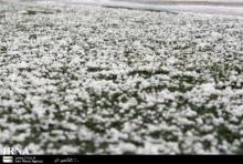 لغو مجدد دیدار تیم های الوند همدان و سپیدرود رشت
