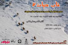 حیات وحش ایران در قاب حیات همدان به تصویر کشیده می شود