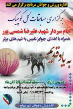 برگزاری مسابقات گل کوچیک جام سردارشهید شمسی پور با حضور بیش از 20 تیم در همدان 