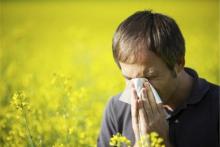 بهترین آنتی هیستامین های طبیعی برای کاهش آلرژی‌