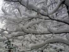 بارش 18 سانتی متری برف در همدان