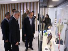 موزه ورزش ایران ثبت رسمی شد/لقمه آماده کمیته المپیک در دهان وزارت