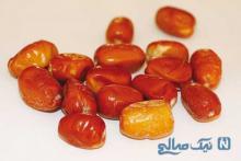 پودر سنجد واقعا برای پوکی استخوان مفید است؟
