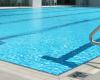 قهرمان رده‎های سنی شنای بانوان مشخص شدند