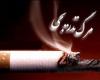 افزایش 32 درصدی برنامه های اداره کل ورزش و جوانان در پیشگیری از اعتیاد