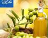 همایش تغذیه سالم در طب الرضا(ع) در همدان برگزار می شود