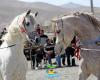 برگزاری  همایش اسب و سوارکاری در شهرستان بهار جزیره شادی