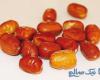 پودر سنجد واقعا برای پوکی استخوان مفید است؟